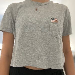 Grey brandy Melville cropped tee shirt